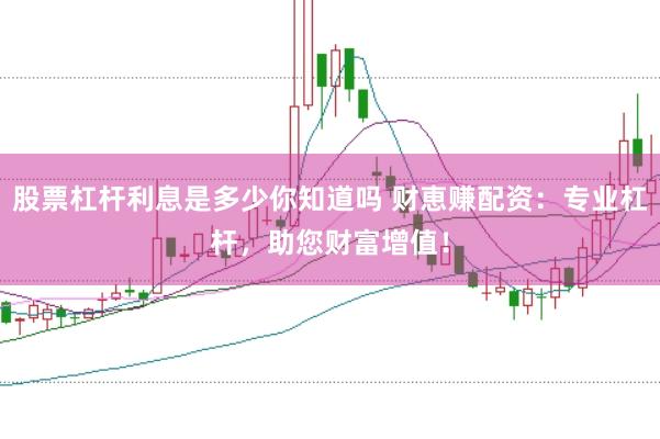 股票杠杆利息是多少你知道吗 财恵赚配资：专业杠杆，助您财富增值！