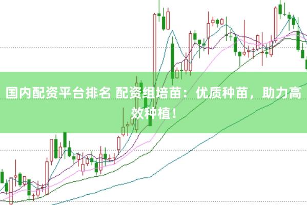 国内配资平台排名 配资组培苗：优质种苗，助力高效种植！