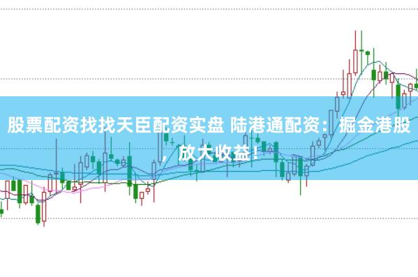 股票配资找找天臣配资实盘 陆港通配资：掘金港股，放大收益！
