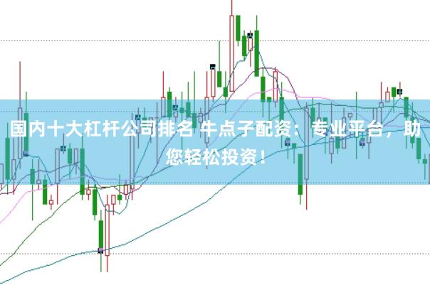 国内十大杠杆公司排名 牛点子配资：专业平台，助您轻松投资！