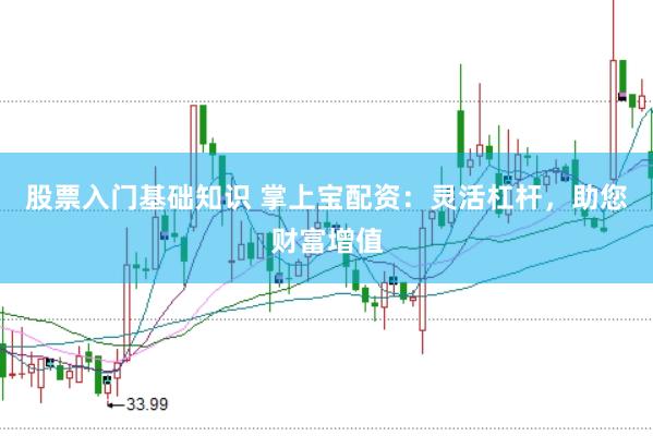 股票入门基础知识 掌上宝配资：灵活杠杆，助您财富增值