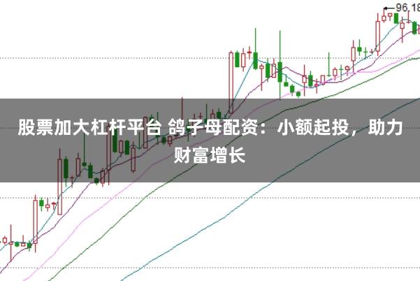 股票加大杠杆平台 鸽子母配资：小额起投，助力财富增长