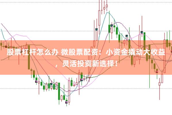股票杠杆怎么办 微股票配资：小资金撬动大收益，灵活投资新选择！
