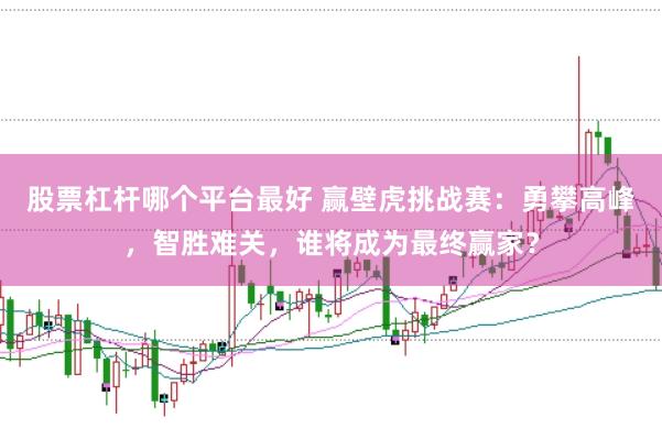 股票杠杆哪个平台最好 赢壁虎挑战赛：勇攀高峰，智胜难关，谁将成为最终赢家？