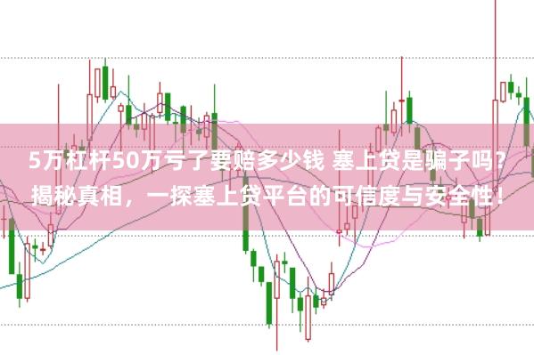 5万杠杆50万亏了要赔多少钱 塞上贷是骗子吗？揭秘真相，一探塞上贷平台的可信度与安全性！