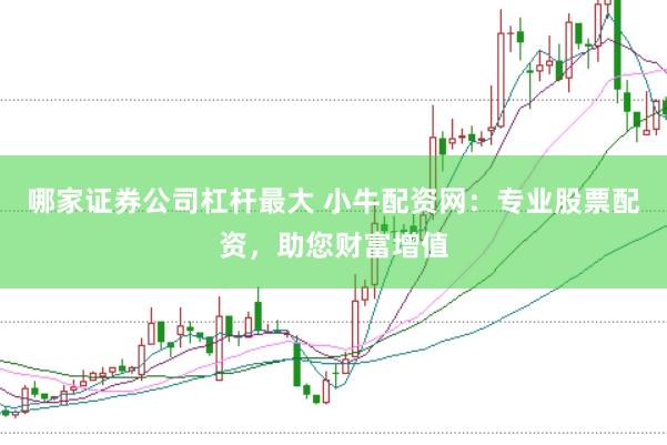 哪家证券公司杠杆最大 小牛配资网：专业股票配资，助您财富增值