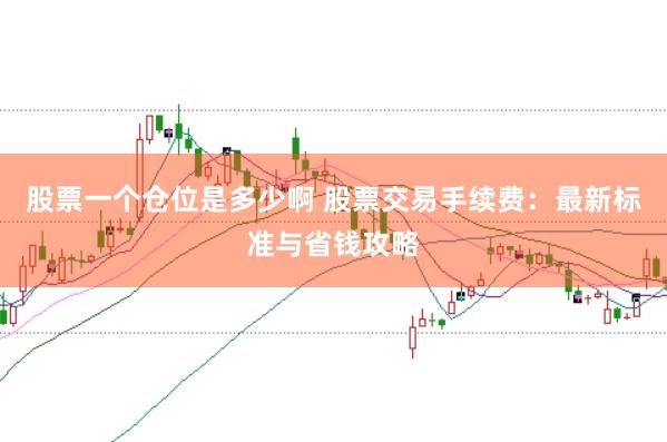股票一个仓位是多少啊 股票交易手续费：最新标准与省钱攻略