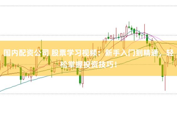 国内配资公司 股票学习视频：新手入门到精通，轻松掌握投资技巧！