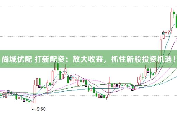 尚城优配 打新配资：放大收益，抓住新股投资机遇！
