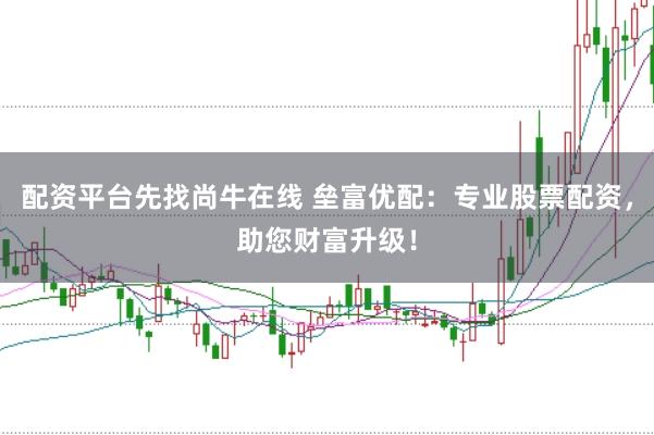 配资平台先找尚牛在线 垒富优配：专业股票配资，助您财富升级！