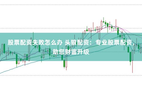 股票配资失败怎么办 头狼配资：专业股票配资，助您财富升级