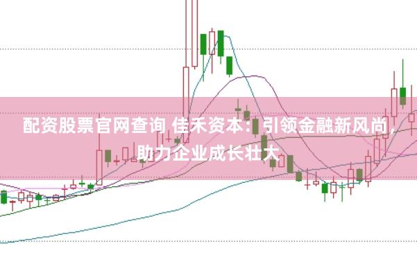配资股票官网查询 佳禾资本：引领金融新风尚，助力企业成长壮大