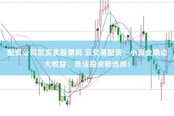 配资公司能买卖股票吗 云交易配资：小资金撬动大收益，灵活投资新选择！