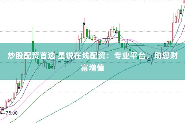 炒股配资首选 星锐在线配资：专业平台，助您财富增值