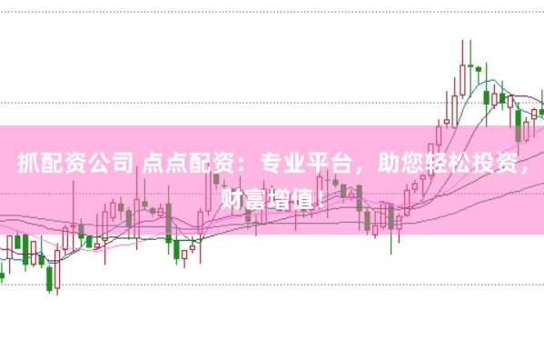 抓配资公司 点点配资：专业平台，助您轻松投资，财富增值！