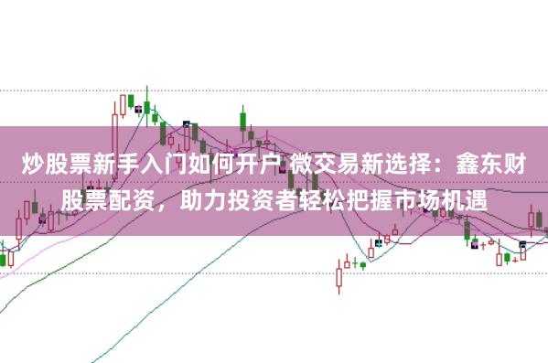 炒股票新手入门如何开户 微交易新选择：鑫东财股票配资，助力投资者轻松把握市场机遇