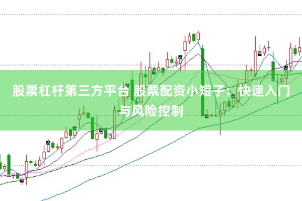 股票杠杆第三方平台 股票配资小短子：快速入门与风险控制