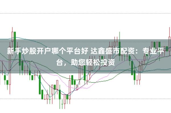 新手炒股开户哪个平台好 达鑫盛市配资：专业平台，助您轻松投资