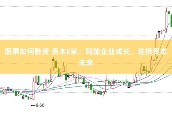 股票如何融资 资本E家：赋能企业成长，连接资本未来