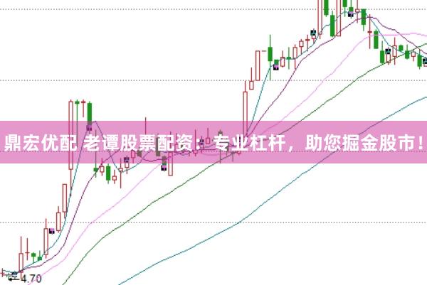 鼎宏优配 老谭股票配资：专业杠杆，助您掘金股市！