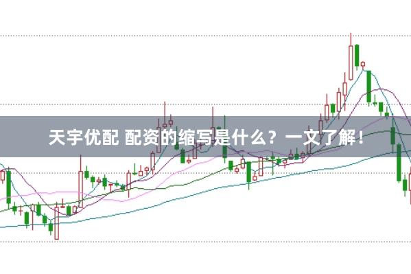 天宇优配 配资的缩写是什么?一文了解!