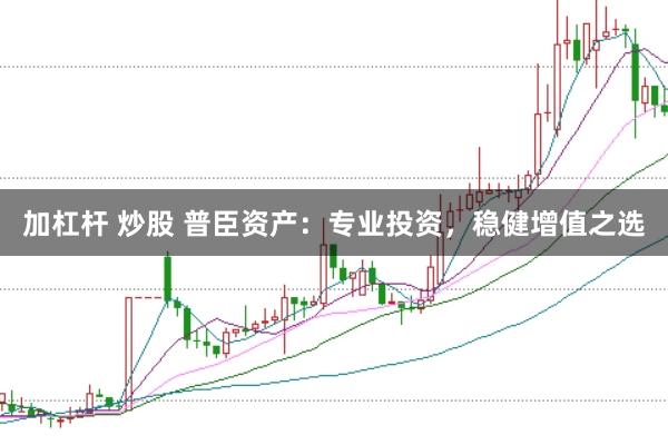 加杠杆 炒股 普臣资产：专业投资，稳健增值之选