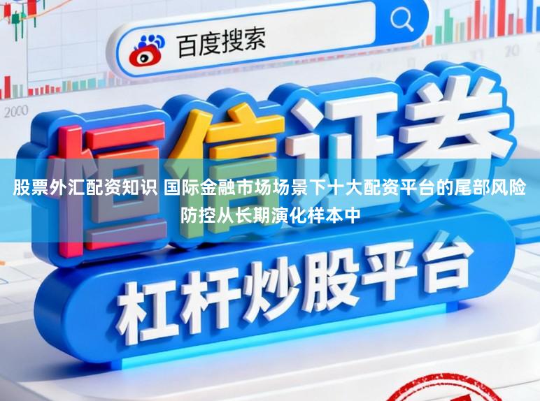 股票外汇配资知识 国际金融市场场景下十大配资平台的尾部风险防控从长期演化样本中