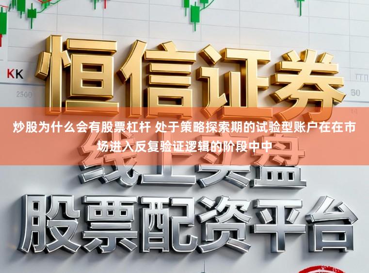炒股为什么会有股票杠杆 处于策略探索期的试验型账户在在市场进入反复验证逻辑的阶段中中