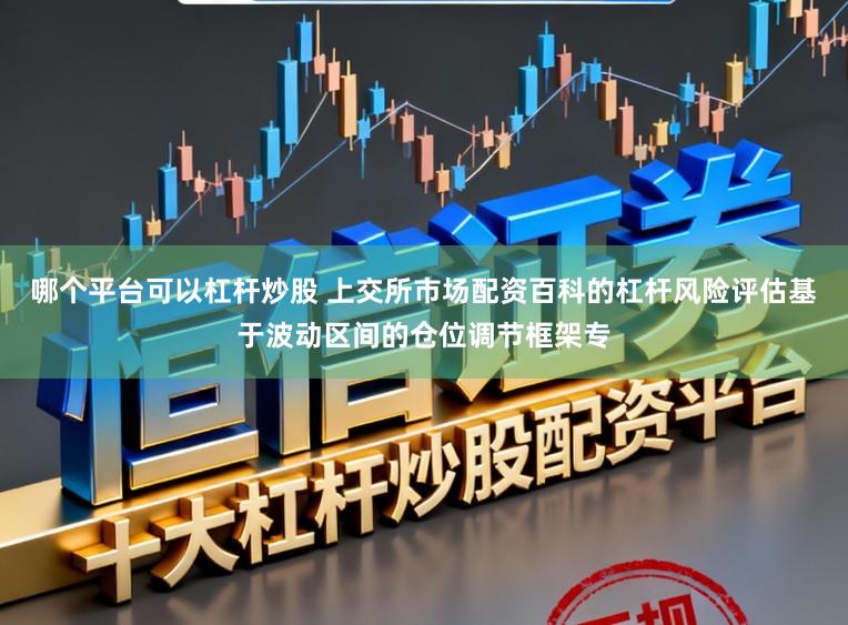 哪个平台可以杠杆炒股 上交所市场配资百科的杠杆风险评估基于波动区间的仓位调节框架专