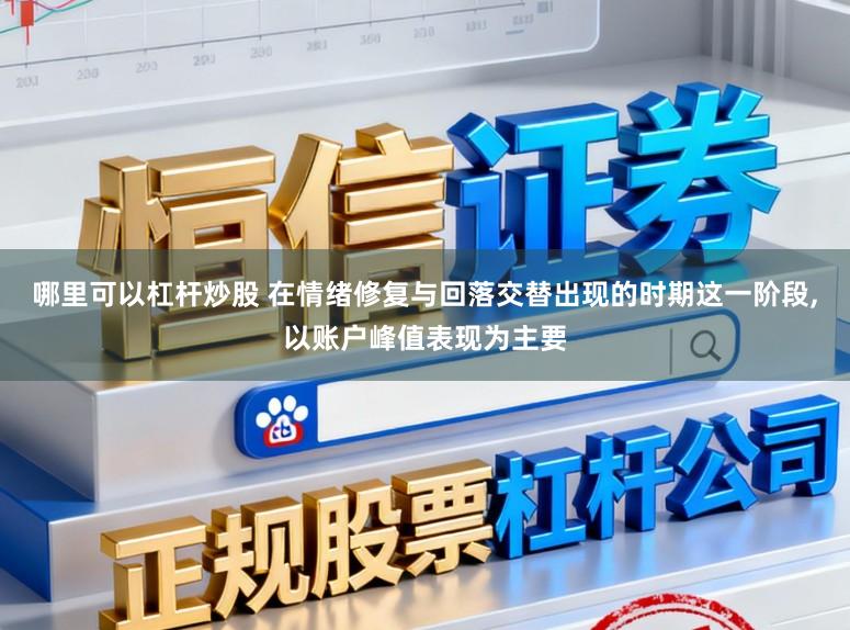 哪里可以杠杆炒股 在情绪修复与回落交替出现的时期这一阶段,以账户峰值表现为主要