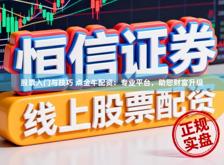 股票入门与技巧 点金牛配资：专业平台，助您财富升级